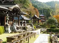 三室戸寺の写真・動画_image_56459