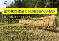 鮎の瀬交流館の写真・動画_image_60226