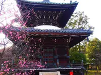 嵯峨釈迦堂（清凉寺）の写真・動画_image_66546