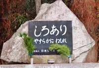 奥之院の写真・動画_image_67774