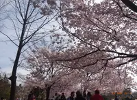 蘆花恒春園の写真・動画_image_69162