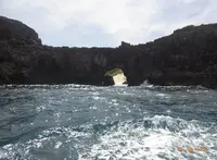 （株）パパヤマリンスポーツの写真・動画_image_72643