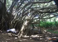 （株）パパヤマリンスポーツの写真・動画_image_73739