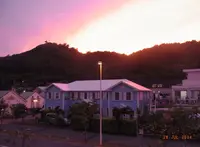 小笠原　島のメインストリートの写真・動画_image_73747