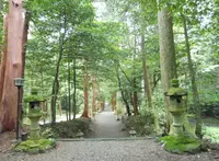 武芸八幡宮の写真・動画_image_78633