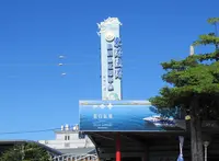華僑魚市場の写真・動画_image_1171571