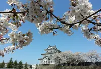 新発田城址公園の写真・動画_image_130130