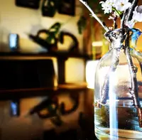 カフェシエスタ HIDAMARI cafe la SIESTA del Solの写真・動画_image_131590