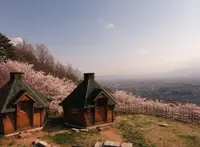 アルプス公園の写真・動画_image_131749