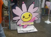 南区の写真・動画_image_143117