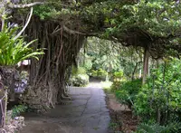 ユンヌ楽園の写真・動画_image_153584
