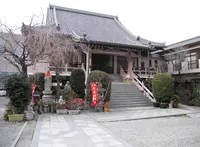金仙寺の写真・動画_image_155806