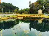 氷室べんてん沼公園の写真・動画_image_158734