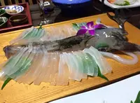 呼子町殿ノ浦１６７２の写真・動画_image_160951