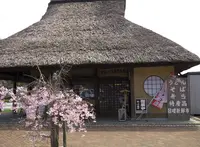 かんざき 大黒茶屋の写真・動画_image_173171
