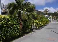 （株）パパヤマリンスポーツの写真・動画_image_175022