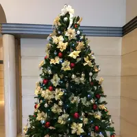 新宿アイランドウイングの写真・動画_image_208858