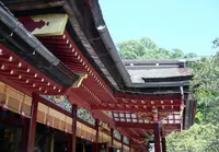太宰府天満宮の写真・動画_image_345210
