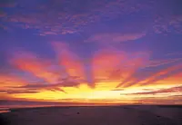 ハテの浜の写真・動画_image_451041