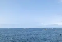 鐙摺葉山港元町防波堤の写真・動画_image_569695