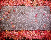 宝筐院の写真・動画_image_54235