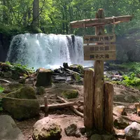 奥入瀬渓流　　の写真・動画_image_671944