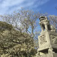 萩城跡指月公園の写真・動画_image_70430