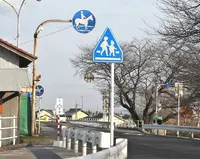 馬専用横断歩道があるの写真・動画_image_130284