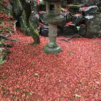 霊鑑寺の写真・動画_image_158957