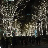 丸の内仲通りの写真・動画_image_208618
