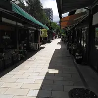 縄手通りの写真・動画_image_599303