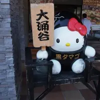 大涌谷の写真・動画_image_57770