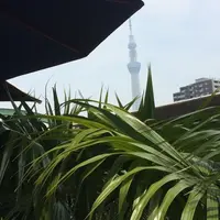 シエロイリオの写真・動画_image_19802