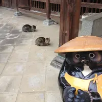 無量寺の写真・動画_image_45109