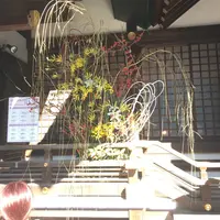 東京大神宮の写真・動画_image_211246