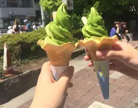 鎌倉茶々の写真・動画_image_323497