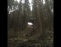 上色見熊野座神社の写真・動画_image_71056