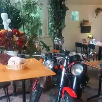 エル・バローロの写真・動画_image_150189