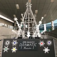 ダイバーシティ東京 プラザの写真・動画_image_209681