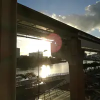 ゆいレールの写真・動画_image_881071