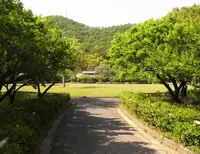 梅林公園の写真・動画_image_134070