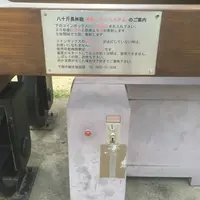 みもすそ川公園の写真・動画_image_70887