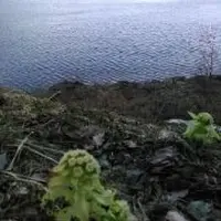 田沢湖の写真・動画_image_73803