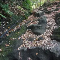 扇ガ谷の写真・動画_image_207354