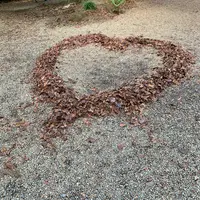 石清水八幡宮の写真・動画_image_414863