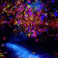 【閉業】森ビルデジタルアートミュージアム：エプソン チームラボボーダレス（MORI Building Digital Art Museum: EPSON teamLab Borderless）の写真・動画_image_416297