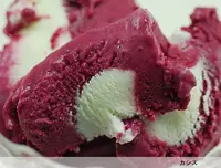 ラ・ベルデュールの写真・動画_image_73669