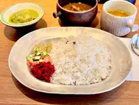 Curry & natural wine ねこちぐらの写真・動画_image_1125028