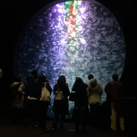 加茂水族館（バス）の写真・動画_image_1575839