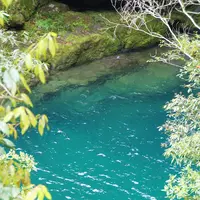 にこ淵の写真・動画_image_131026